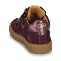 GBB Accueillant Prune